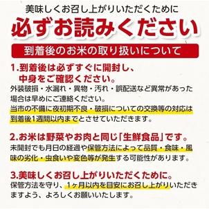 ふるさと納税 新米 工藤さんの特別栽培米 雪若丸無洗米 10kg（5kg×2袋）×6回（計60kg） 山形県鶴岡市