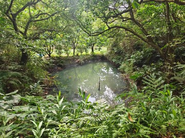關西開心農場近石門水庫｜新竹縣關西鎮十寮段糞箕窩小段