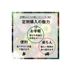 ふるさと納税 定期便 野菜 12回 13〜14品 セット 1年間 旬 詰め合わせ お楽しみ お届け 新鮮 産地直送 高知 須崎 トマト 人参 タマネギ ブロッコ.. 高知県須崎市