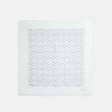 復古經典 SIGNATURE 印花真絲方巾