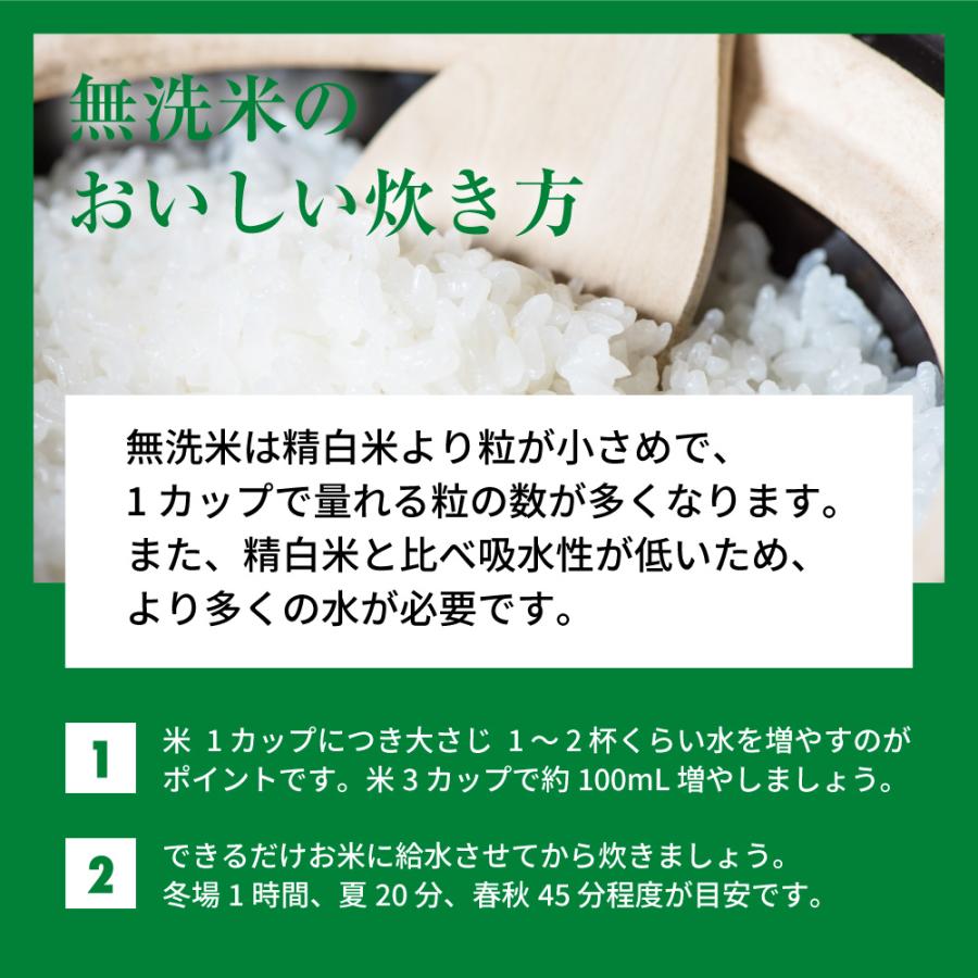 お米 ごはん白米 無洗米 5kg 5キロ 新潟県産 コシヒカリ こしひかり 令和5年産