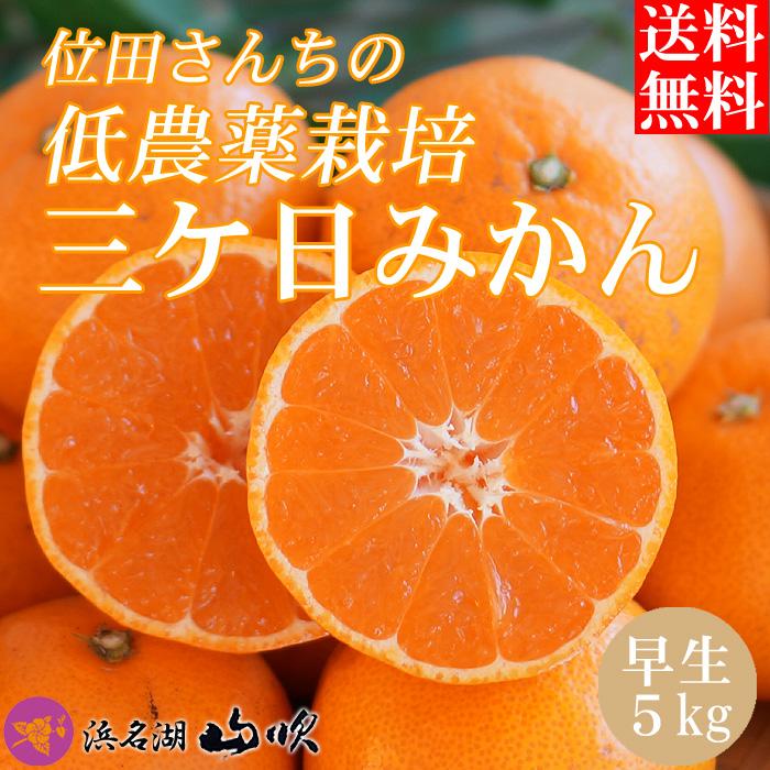 低農薬 有機肥料栽培 三ケ日みかん 早生 5kg  産地直送 送料無料 位田さんちのみかん