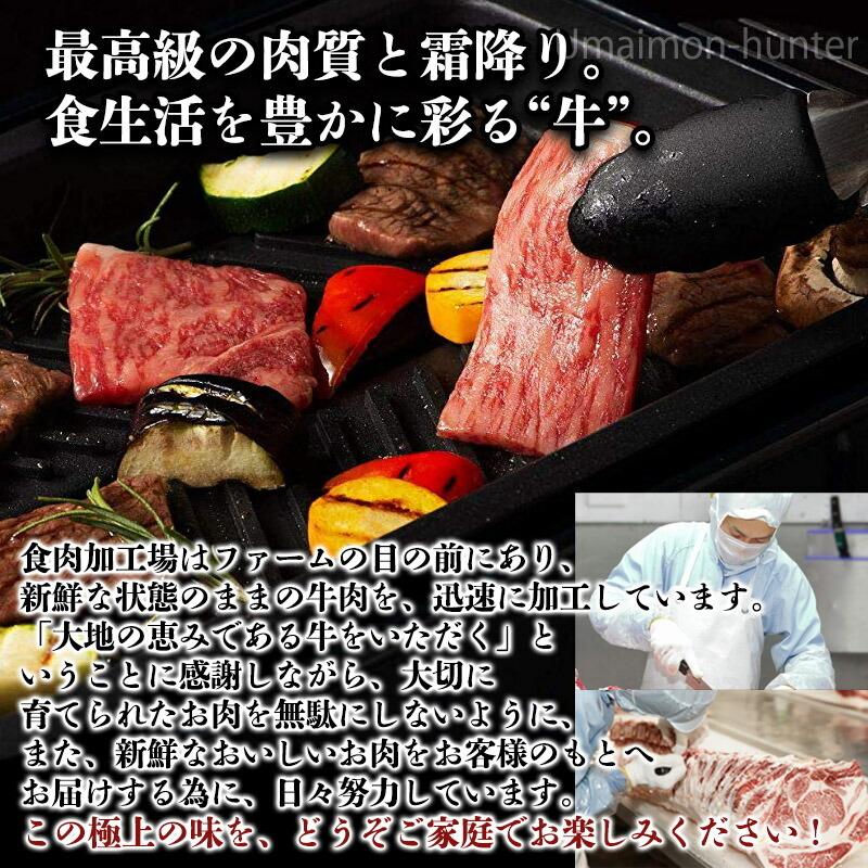 ギフト 九州産黒毛和牛 藤彩牛 A4〜A5 特上ロース 焼肉用 300g×2P 4人前 フジチク ご自宅用 お土産 贈答品 BBQ お花見