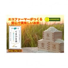 令和5年産『てまひま米』玄米4kg(2kg×2)