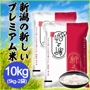 令和5年産 新米 新潟県産 新之助 10kg (5kg×2袋) 白米 (精米済) プレミアム米 2023年度産 米 冷めてもおいしい 国産 産地直送 しんのす