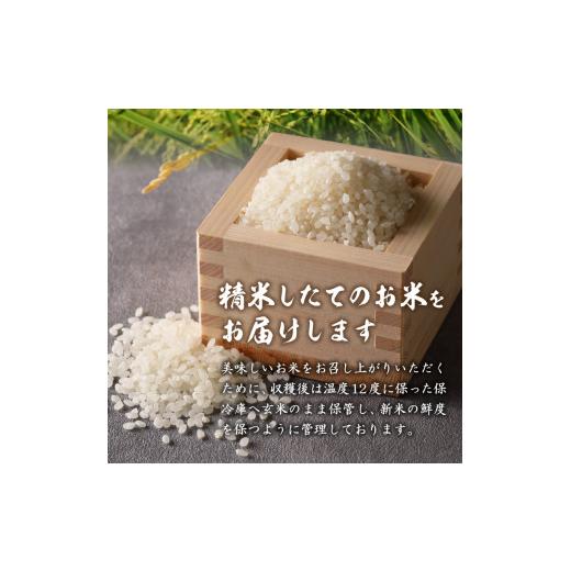 ふるさと納税 三重県 玉城町 令和5年産米 三重県産コシヒカリ20kg×3ヶ月 新嘗祭皇室献上米農家