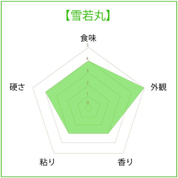 山形県産雪若丸　10kg(5kg×2)