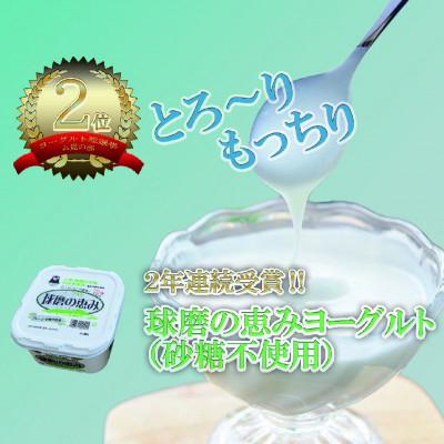 ふるさと納税 湯前町 球磨酪農おすすめセットC(瓶牛乳ヨーグルト砂糖不使用×2個)全3回