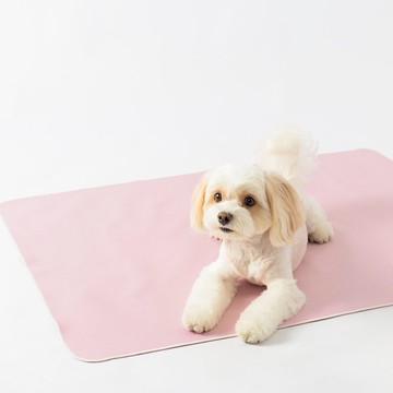 爽爽墊-耐看素面色系列