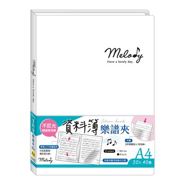 A4不反光資料簿20入