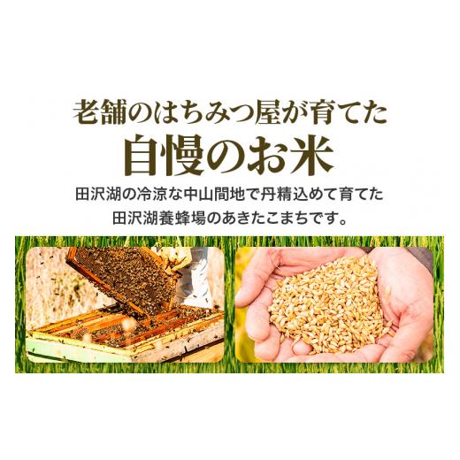 ふるさと納税 秋田県 仙北市 秋田県産 あきたこまち 30kg 新米 令和5年産 30キロ お米 仙北市