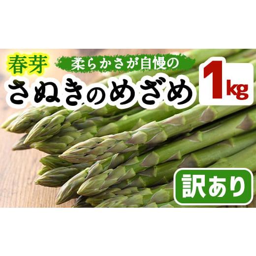 ふるさと納税 香川県 まんのう町 ＜先行予約！2024年2月中旬以降順次発送予定＞＜訳あり・家庭用＞春芽！アスパラガス「さぬきのめざめ」(約1kg) 北海道・沖縄…