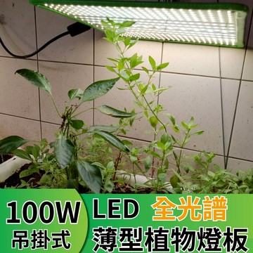 【君沛植物燈】LED植物燈 LED100W薄型植物燈板 100瓦吊掛式植物燈 仿日照陽光植物燈全光譜 高演色性生物舒適光