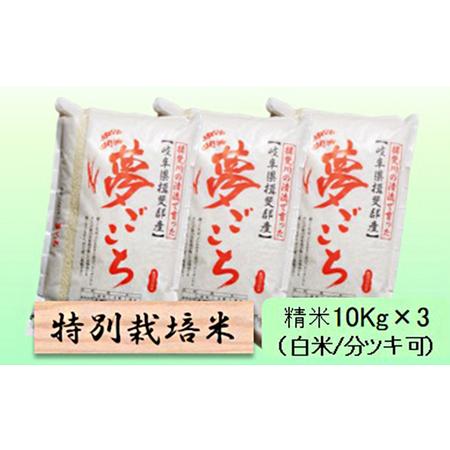 ふるさと納税 特別栽培米★精米30kg（白米 5分 7分ツキ可） 玄米は別に出品 5分ヅキ 岐阜県池田町