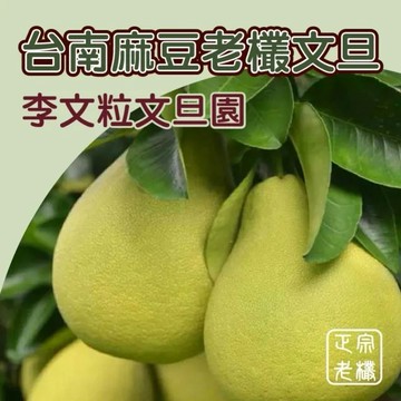 預購商品🍐指定區間出貨🍐【台南李文粒果園】麻豆文旦6kg x1箱(7-9入/箱)｜60年老欉 產地直送｜中秋禮盒