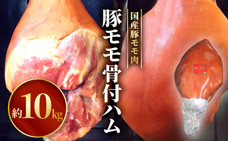 豚モモ骨付ハム 肉 豚肉 ハム 骨付き