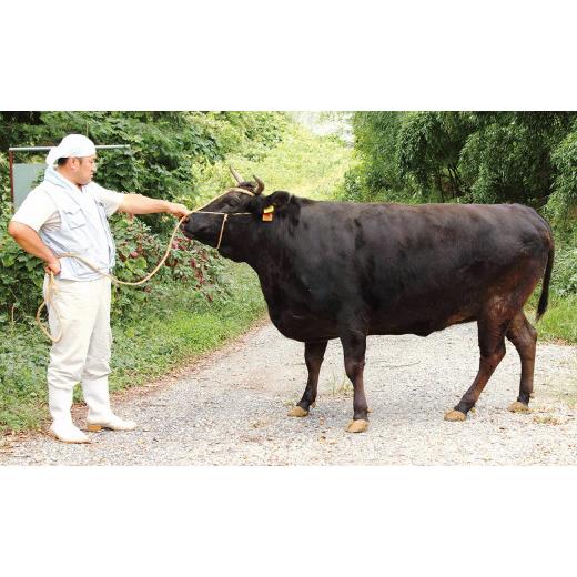 ふるさと納税 滋賀県 草津市 純近江牛すき焼き用特撰ロース肉1,000g