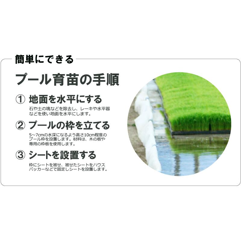 丈夫で水漏れしない プール育苗シート 遮水シート 厚さ0.25mm×幅300cm×長さ20m プール育苗 プールシート 厚手 遮水 プール プール育苗用 シート 水稲 苗 コMZ