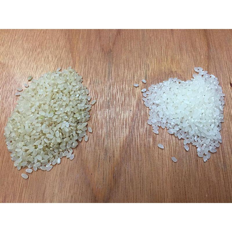 令和4年産 新米 石川県産 自然農法米 こしひかり 「自然の恵み」 白米 5分づき 特別栽培米 15kg