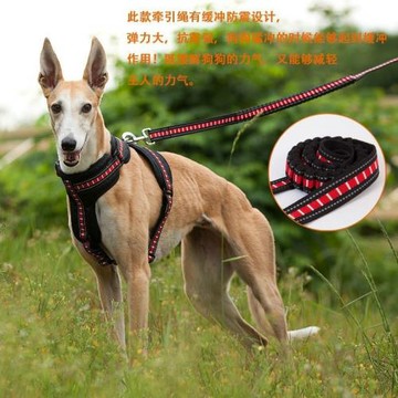熱銷款寵物牽引繩中大型犬防爆沖 耐拉防掙脫夜間反光條彈性狗繩