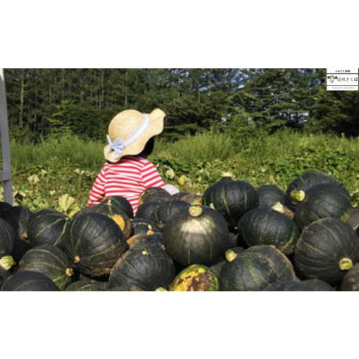 ふるさと納税 長野県 佐久穂町 いそベジ農場の季節の野菜詰め合わせセット　定期便　２回便〔IV-02〕