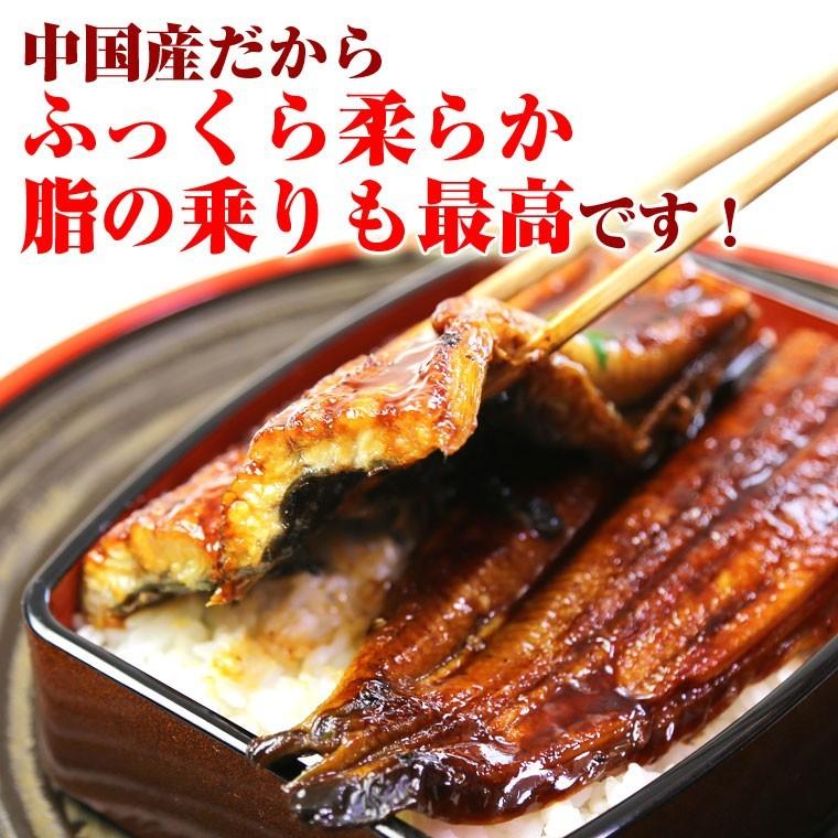 うなぎ 蒲焼き 5尾 中国産 約３００ｇ業務用 送料無料　特大 　ギフト