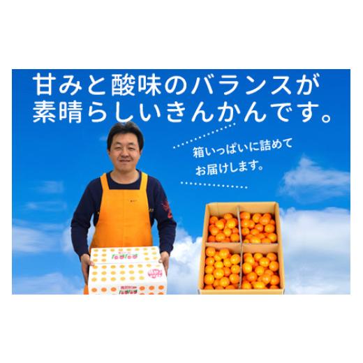 ふるさと納税 宮崎県 高鍋町 ＜“厳選”完熟きんかん「たまたま」2L×3kg 1箱＞2024年2月上旬〜2月下旬迄に順次出荷 金柑 柑橘 果物