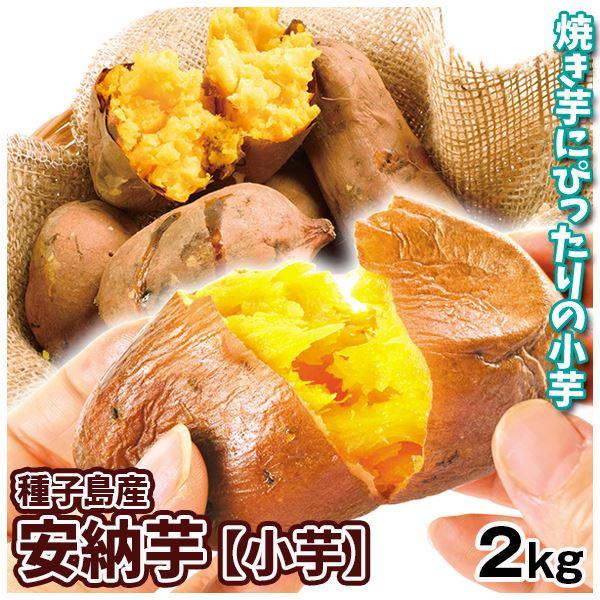 さつまいも 2kg 種子島産 安納芋 ご家庭用 送料無料 食品