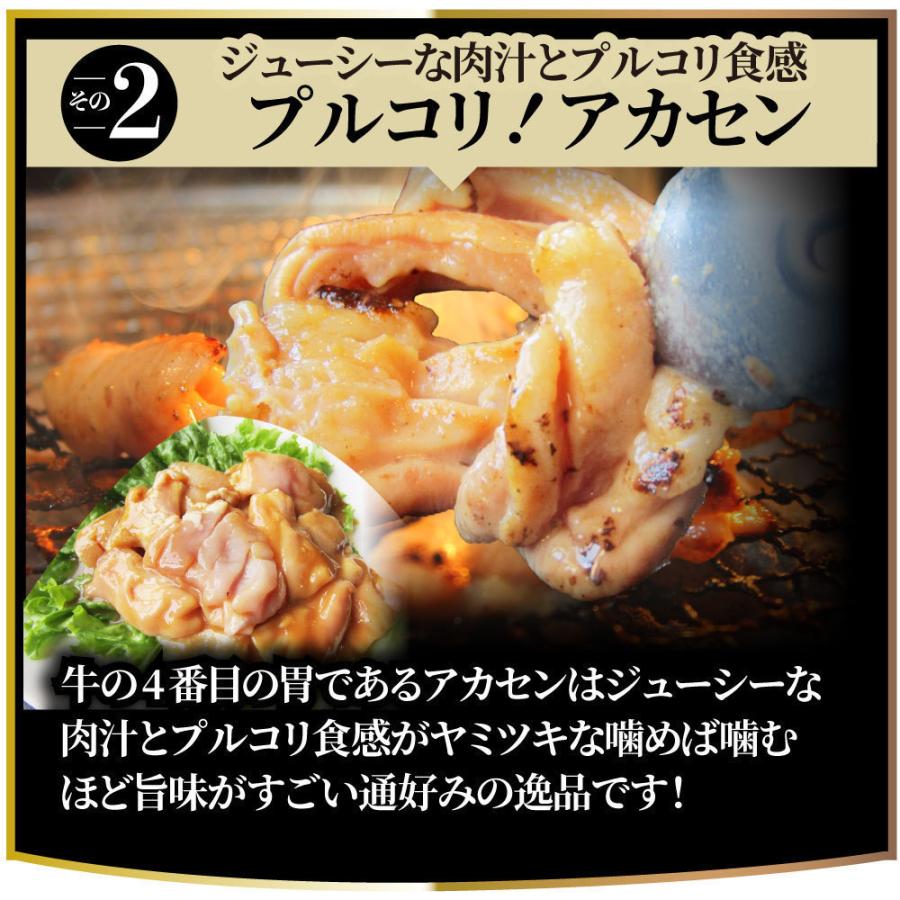 三種 ホルモン ミックス 焼肉 5kg（250ｇ×20パック）秘伝 タレ漬け バーベキュー BBQ 肉 焼くだけ 冷凍キャンプ キャンプ飯