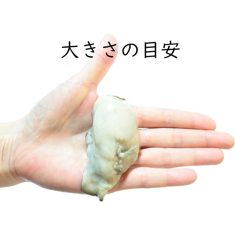 牡蠣 冷凍 かき むき身 広島県産 大サイズ (1kg 30-40個  海鮮鍋用)