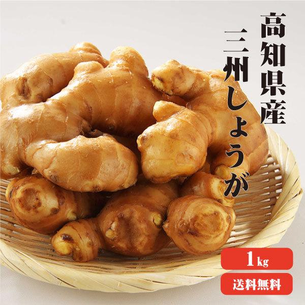 高知産 三州生姜 1kg 送料無料 業務用  高知県産 三州生姜 生姜 国産 根生姜 囲い生姜 坂田信夫商店