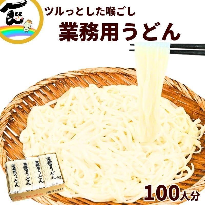 麺の城北 業務用うどん 100人分（1kg・10人前×10袋）