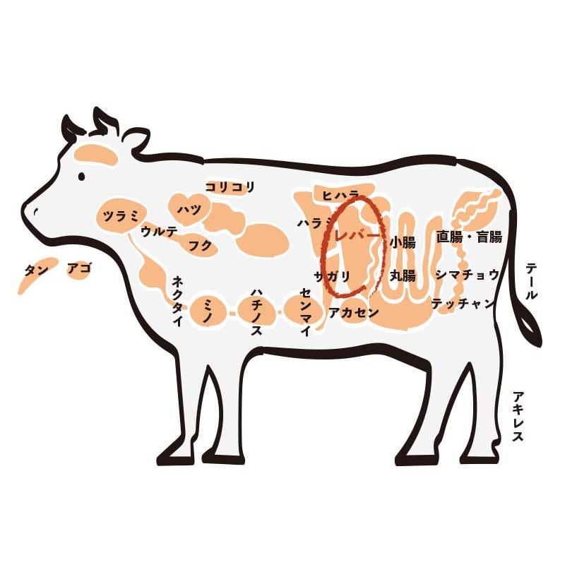 国産牛 新鮮ホルモン レバー（200g）(１〜２人前)