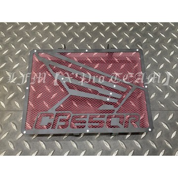 【LFM】DMV CBR650R CB650R 造型款水箱護網 水箱網 水箱護罩 水箱保護網