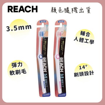 🌲森林喵🌲兩色隨出貨  麗奇 REACH  14°牙周對策牙刷 牙周護理迷你軟毛牙刷 超好用牙刷 現貨