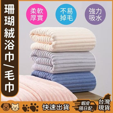 【台灣現貨】珊瑚絨毛巾 超強吸水 擦髮巾 吸水毛巾 不掉毛 柔軟親膚 洗臉巾珊瑚絨浴巾 素色毛巾 毛巾 大毛巾 小毛巾