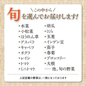 ふるさと納税 福岡県久留米市産　新鮮野菜セット_福岡県 久留米市産 新鮮野菜 セット 10品目 旬の野菜 詰め合わせ 新鮮 野菜 水菜 小松菜 ほう.. 福岡県久留米市