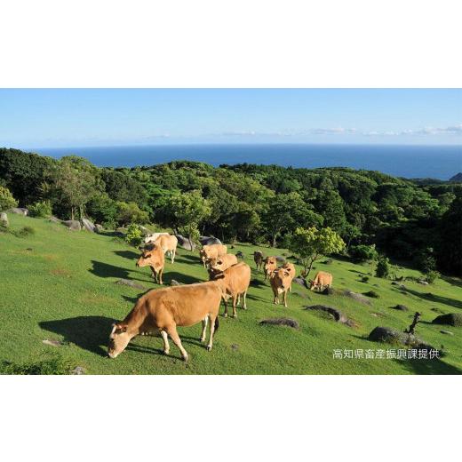 ふるさと納税 高知県 香美市 モモしゃぶしゃぶ　400g