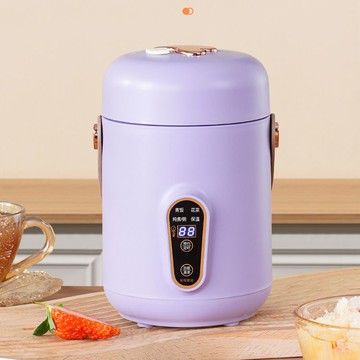 110V電燉鍋美國日本加拿大家用煲湯煮粥電燉杯多功能全自動輔食