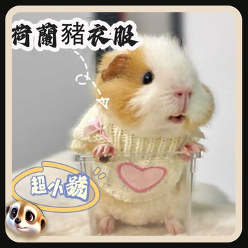 【XL-LX】荷蘭豬衣服 超小 特小 豚鼠 龍貓 侏儒兔 鬆鼠小寵物秋冬保暖 專用外出服