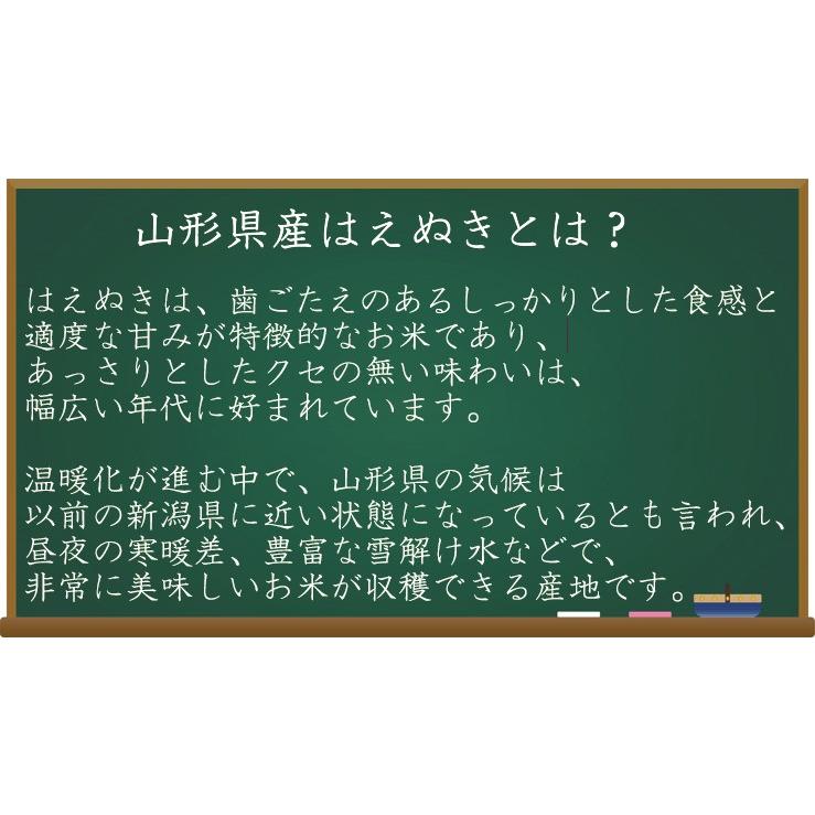 ポイント5倍 送料無料 米 無洗米 お試し 2合(300g)×3袋 (令和5年産 北海道ゆめぴりか  山形はえぬき  玄白飯) メール便（SL）