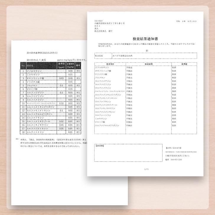 ブラジル産 鶏モモ肉 外国産 豚こま肉 500g セット 冷凍品