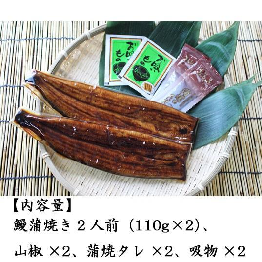 うなぎ蒲焼き　国産　2人前　110g×2　浜松　浜名湖　長焼き　冷凍便　お吸物セット　お取り寄せ