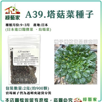 【綠藝家】A39.塔菇菜種子 2克(約900顆)(日本進口蹋稞菜 、烏塌菜)