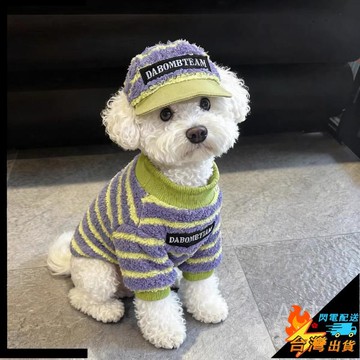 【台灣出貨】寵物衣服 狗狗衣服 中小型犬衣服 貓咪衣服 寵物兩腳衣 秋冬保暖 加絨加厚 雪納瑞泰迪比熊博美小狗衣服