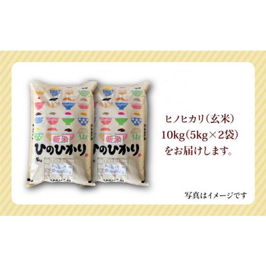 ふるさと納税 佐賀県 江北町 令和5年産 新米 ヒノヒカリ 玄米 10kg 5kg×2  [HAP014]