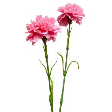 FLORAL M 手感保濕康乃馨仿真花材  蜜桃粉  2支