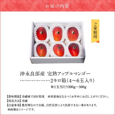 ふるさと納税 和泊町 ≪ご家庭用≫東マンゴー園直送!完熟アップルマンゴー 2キロ(4〜6玉)