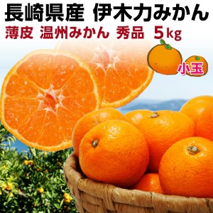 みかん 伊木力 長崎 早生 温州ミカン 秀品 ５kg（2.5kg×2箱） 送料無料 産直 甘い蜜柑 贈答用 Y常