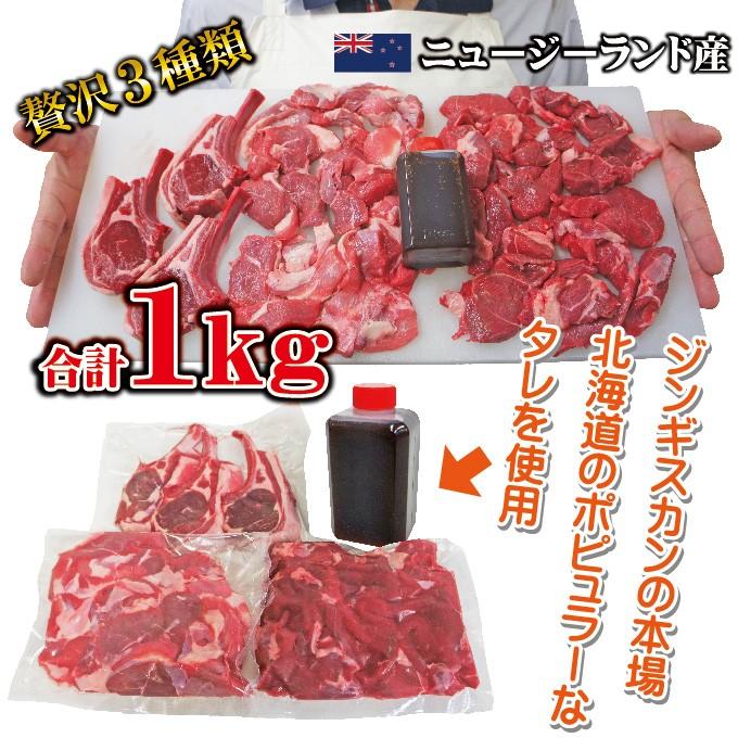 送料無料 ジンギスカン焼肉セット合計1ｋｇニュージーランド産　冷凍   羊肉 バーベキューセット 2セット以上購入でおまけ付